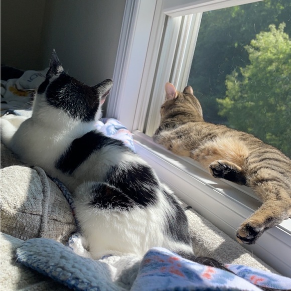 Mellin is LIVE!!! 🔥💕🛍️ LIKE FOR NOTIFICATION - Picture 3 of 6